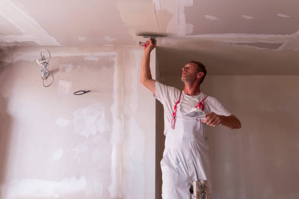 Best Ceiling Painting Services  in Enosburg Falls, VT